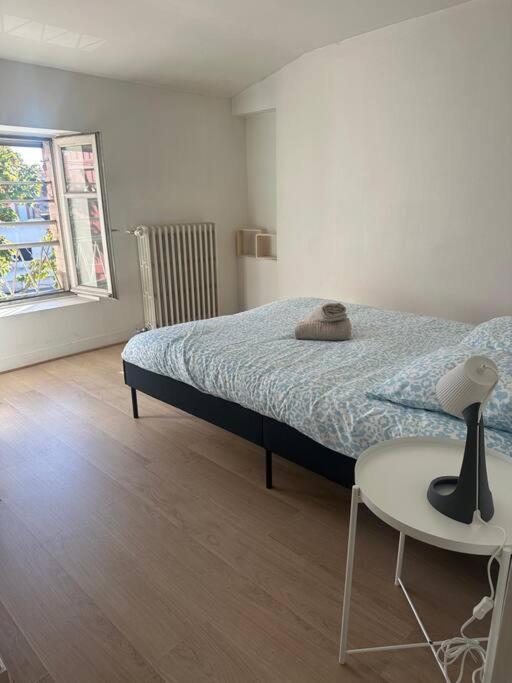 Apartmán Le Leon Cladel T3 Proche Parking Gratuit Montauban Exteriér fotografie